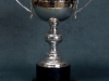 Sanye Cup