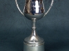 McInnes Cup